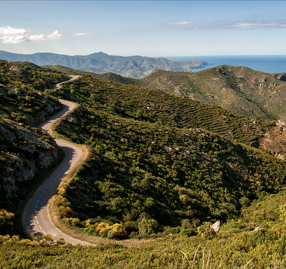 Salidas en bicicleta