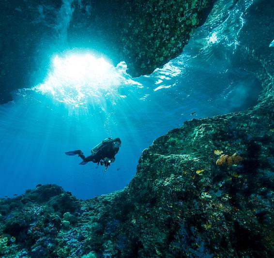 Plongée sous-marine