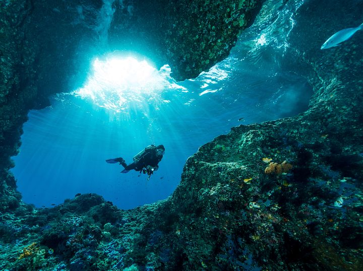 Plongée sous-marine