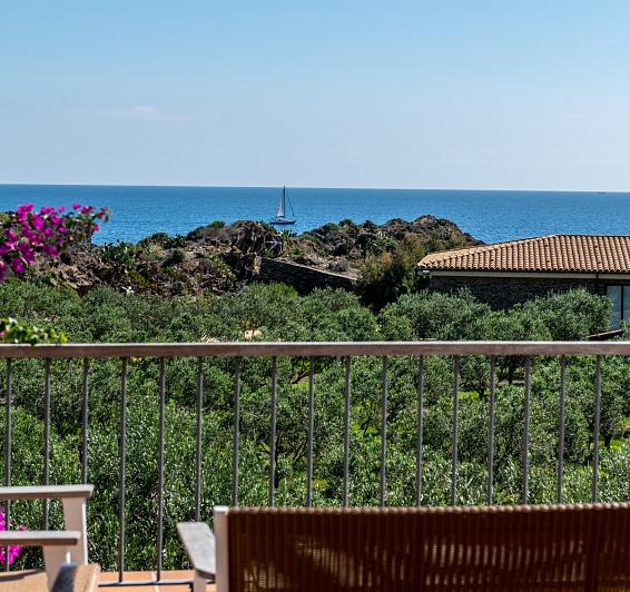 Celebraciones familiares